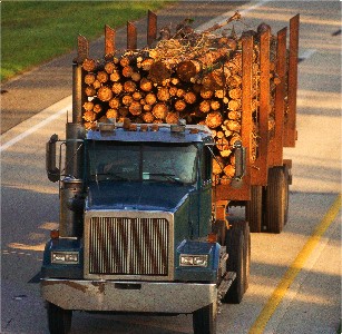 Cover Photo: Single-unit truck carrying logs.