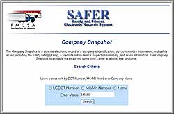 Company Snapshots Entry Screen