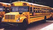 School Bus - more than 15