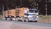 Log Truck